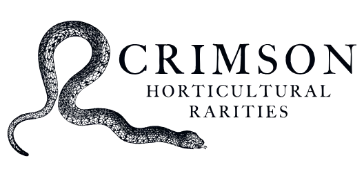 Crimson Horticultural Rarities