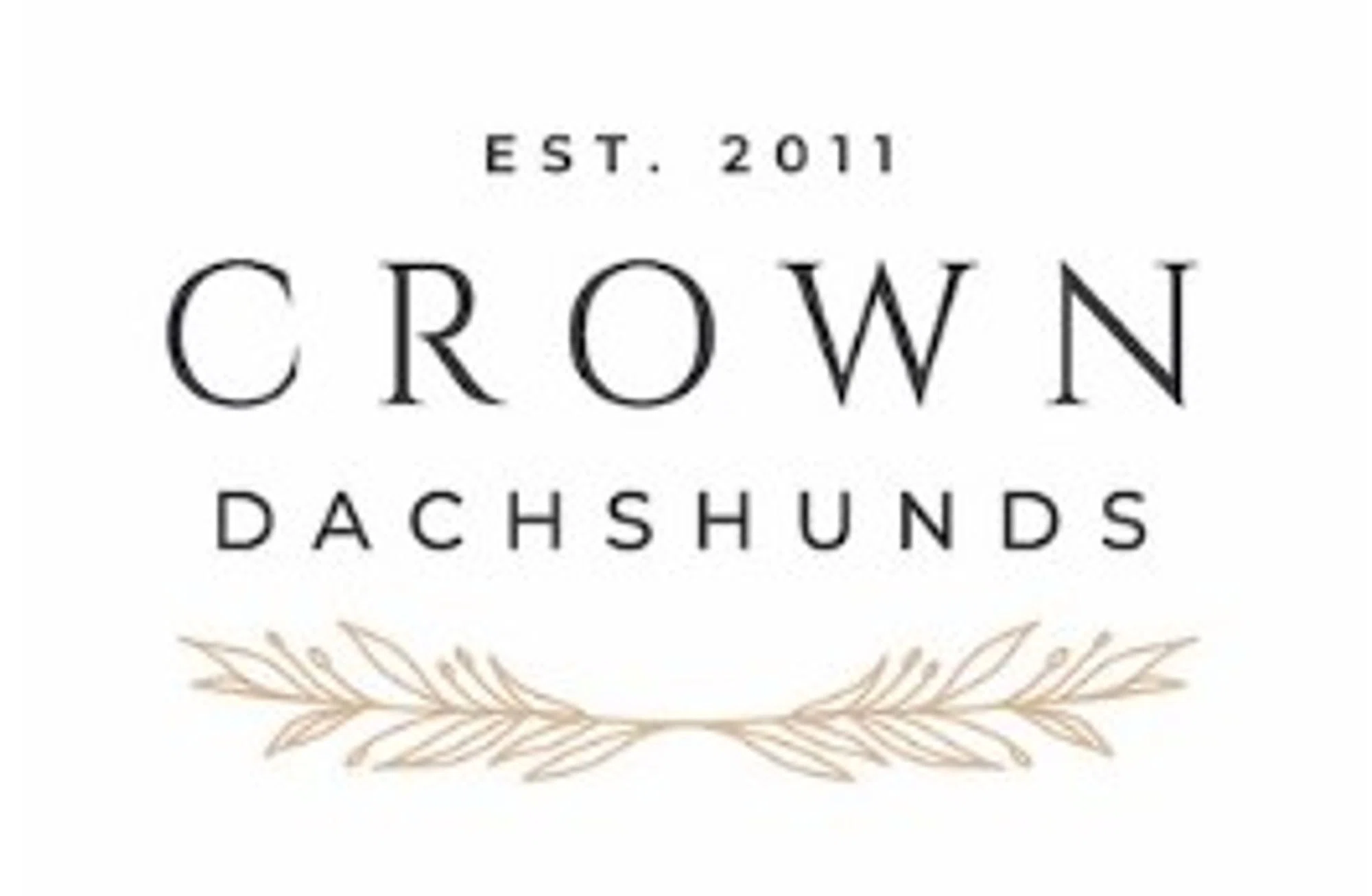 Crown Dachshunds
