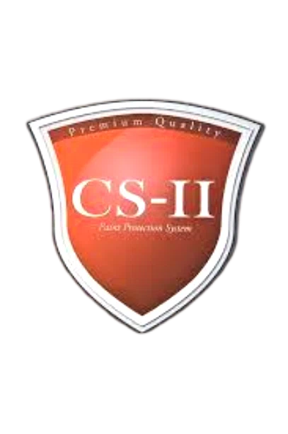 CS2 Paint Protection