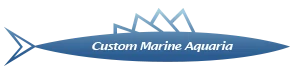 Custom Marine Aquaria