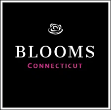 Connecticut Blooms Logo for Promo Codes