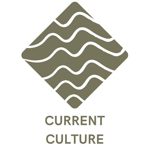 Current Culture Fly