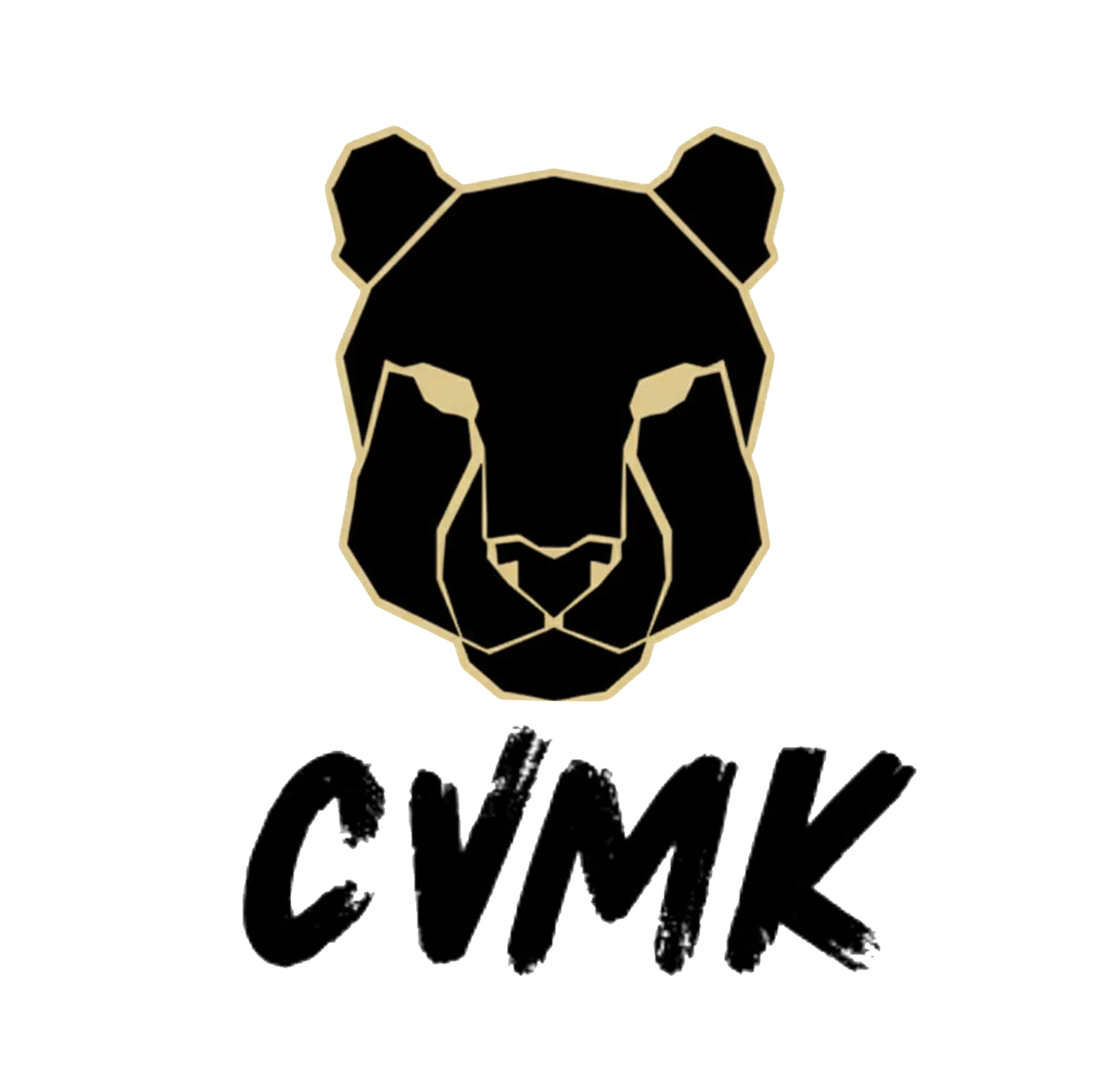CVMK GLOBAL Promo Codes