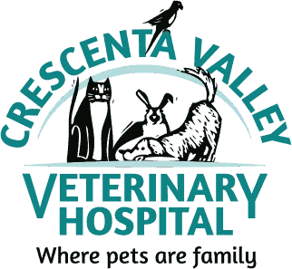 Crescenta Valley Veterinary Hospital