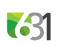 Cyber 631