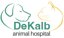 DeKalb Animal Hospital