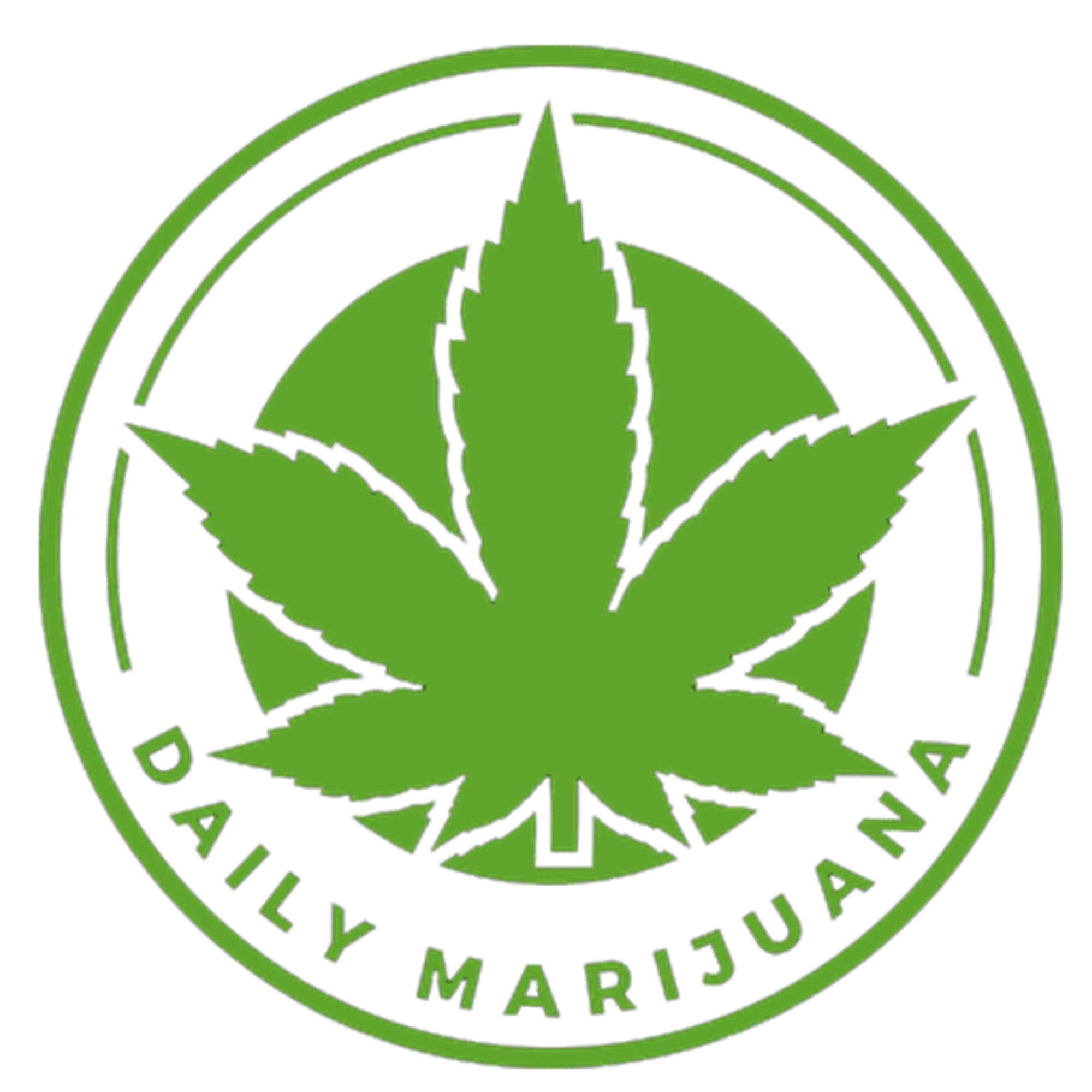 Daily Marijuana