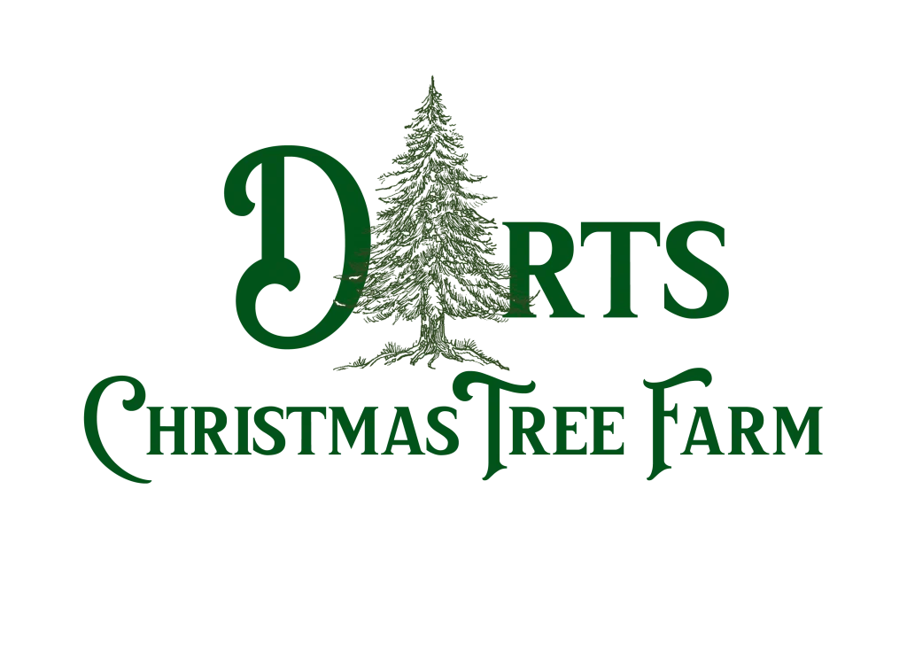 Darts Christmas Tree Farm