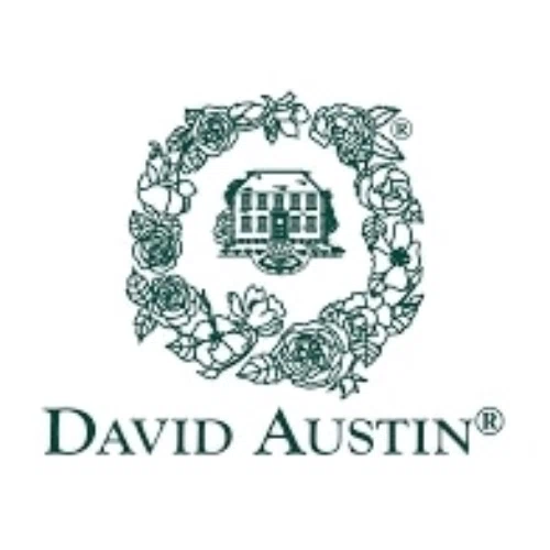 David Austin Roses
