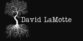 David LaMotte