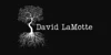 David LaMotte
