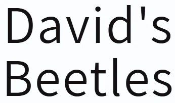 David's Beetles