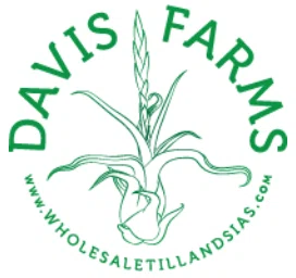 Davis Farms Wholesale Tillandsias