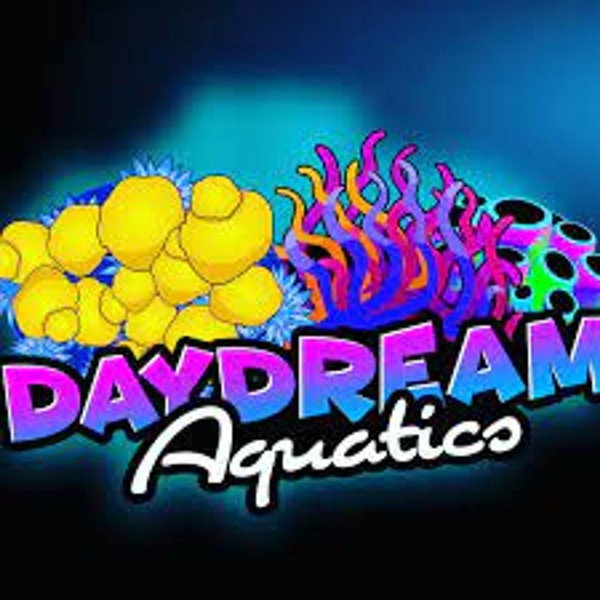 Day Dream Aquatics