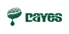 Dayes Coffee