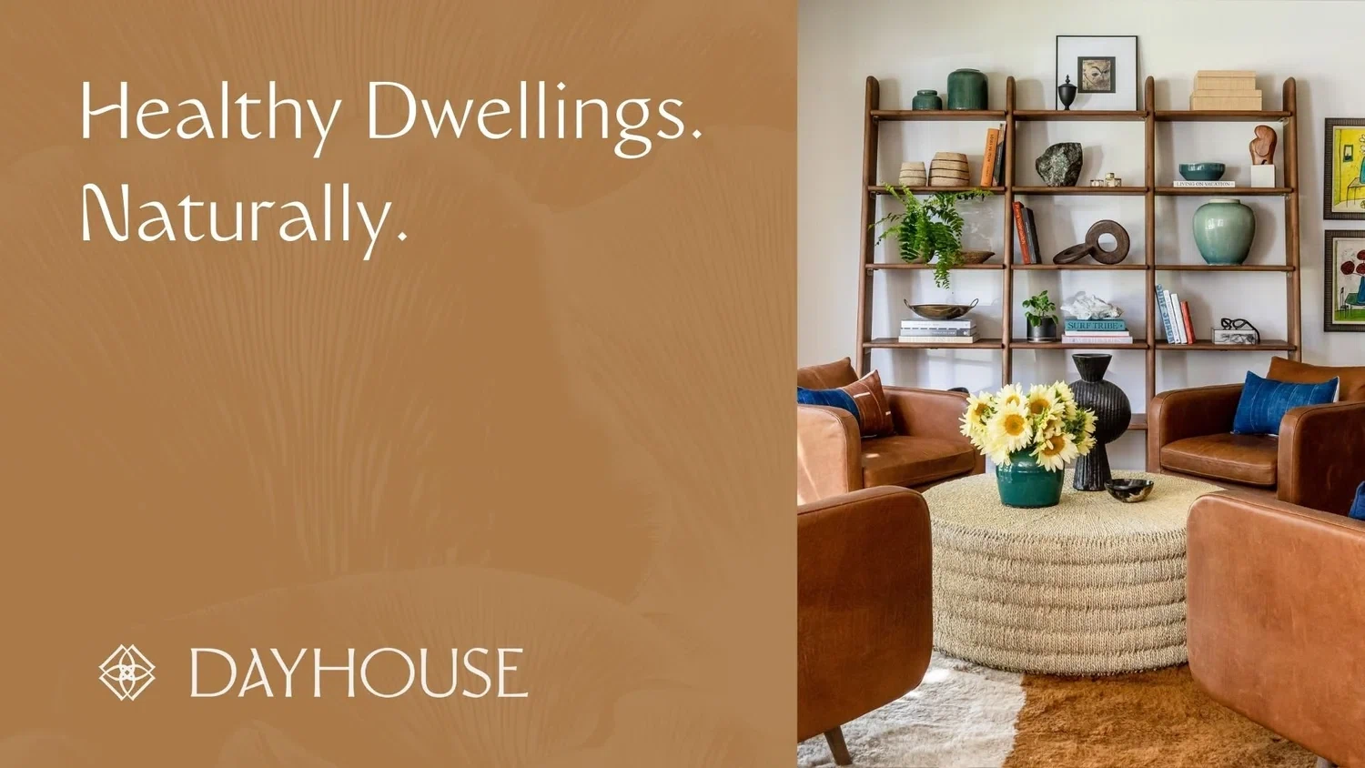 Dayhouse Studio