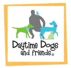 Daytime Dogs and Friends
