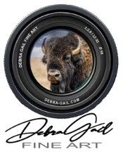 Debra Gail Fine Art