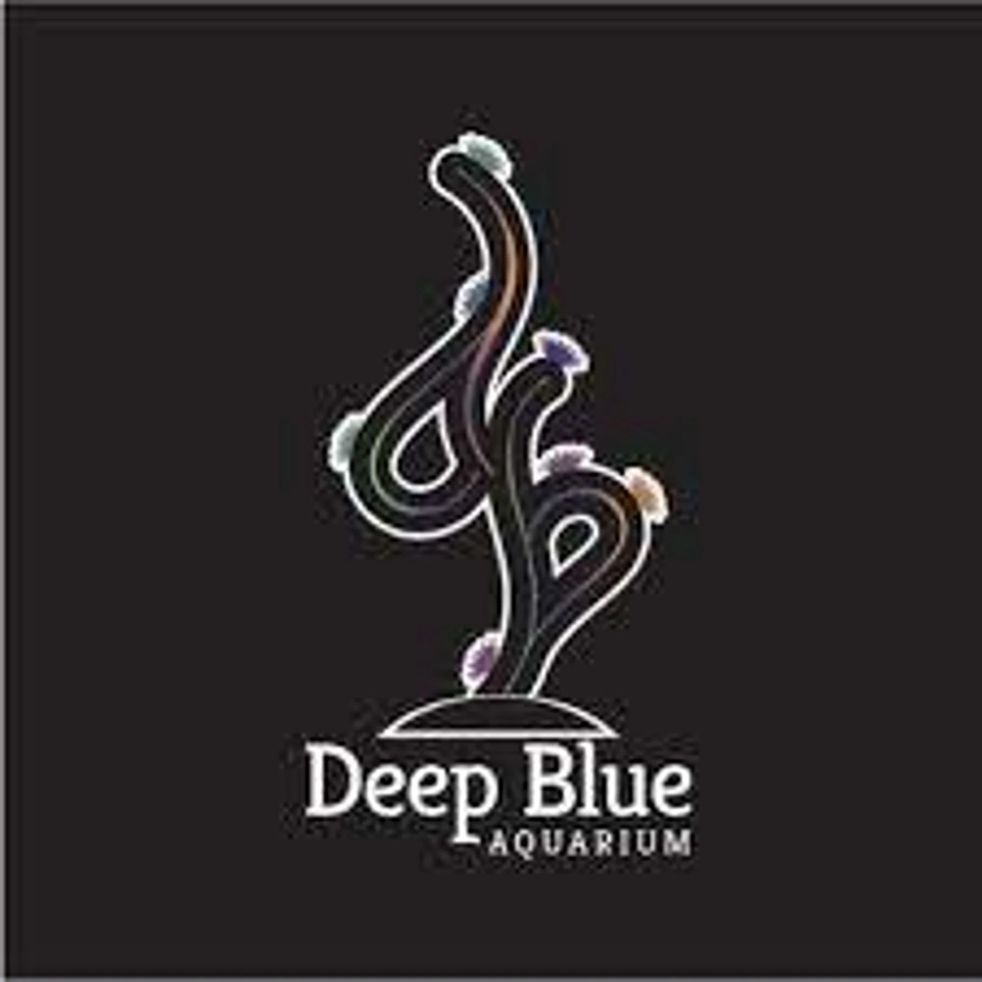 Deep Blue Aquarium