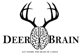 DeerBrain