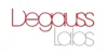 Degauss Labs