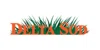 Delta Sod