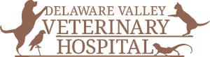 Delaware Valley Veterinary Hospital