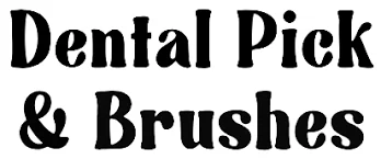 Dental Pick and Brushes
