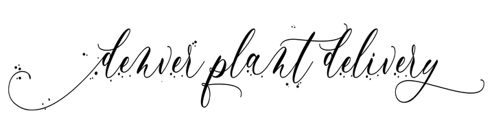 Denver Plant Delivery