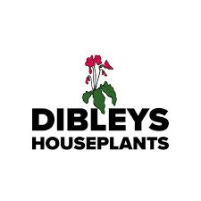 Dibleys Houseplants