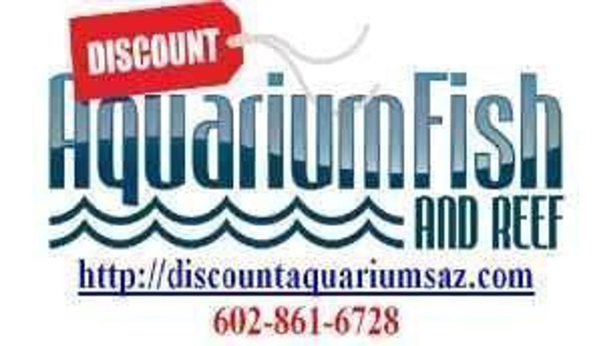 Discount Aquarium Fish and Reef