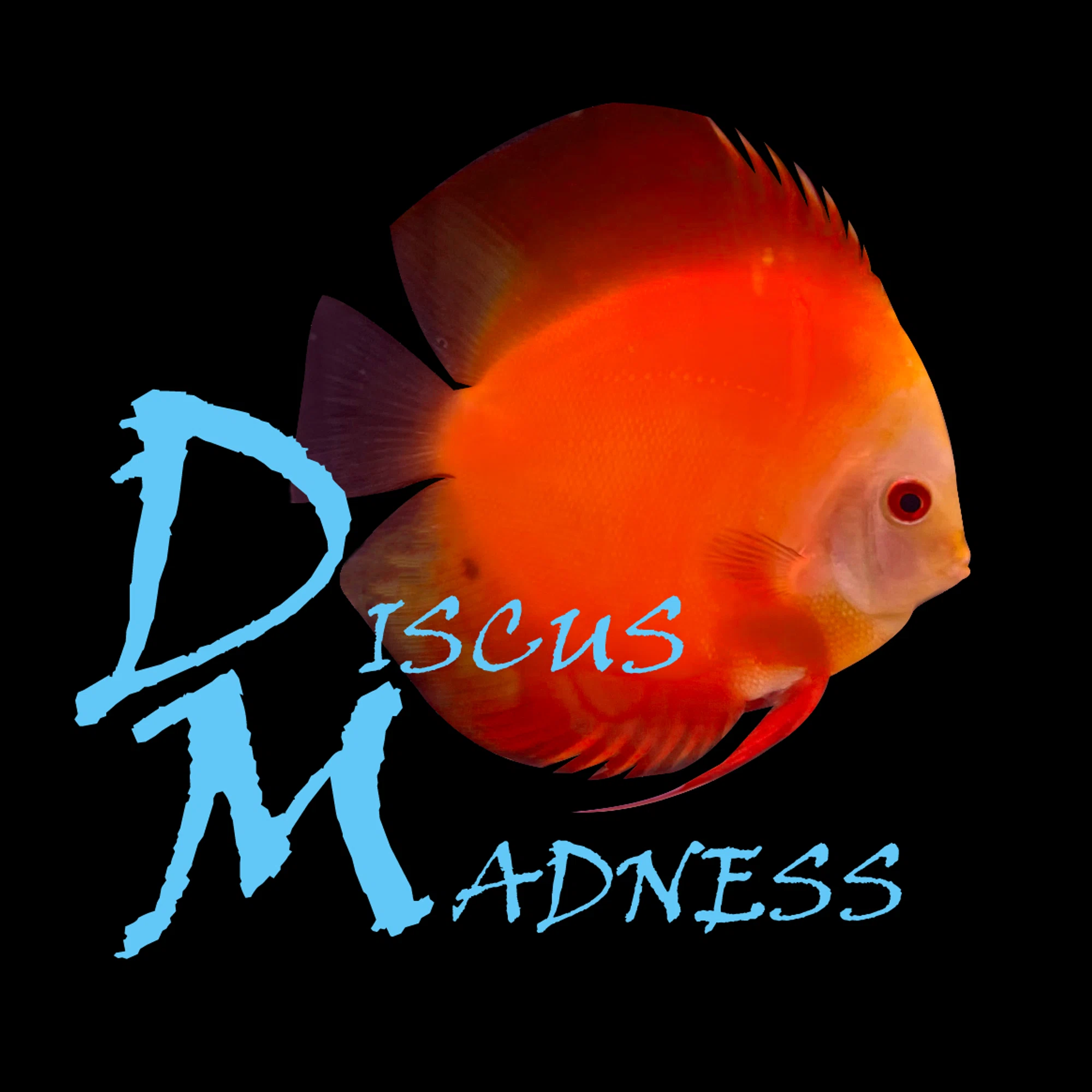 Discus Madness