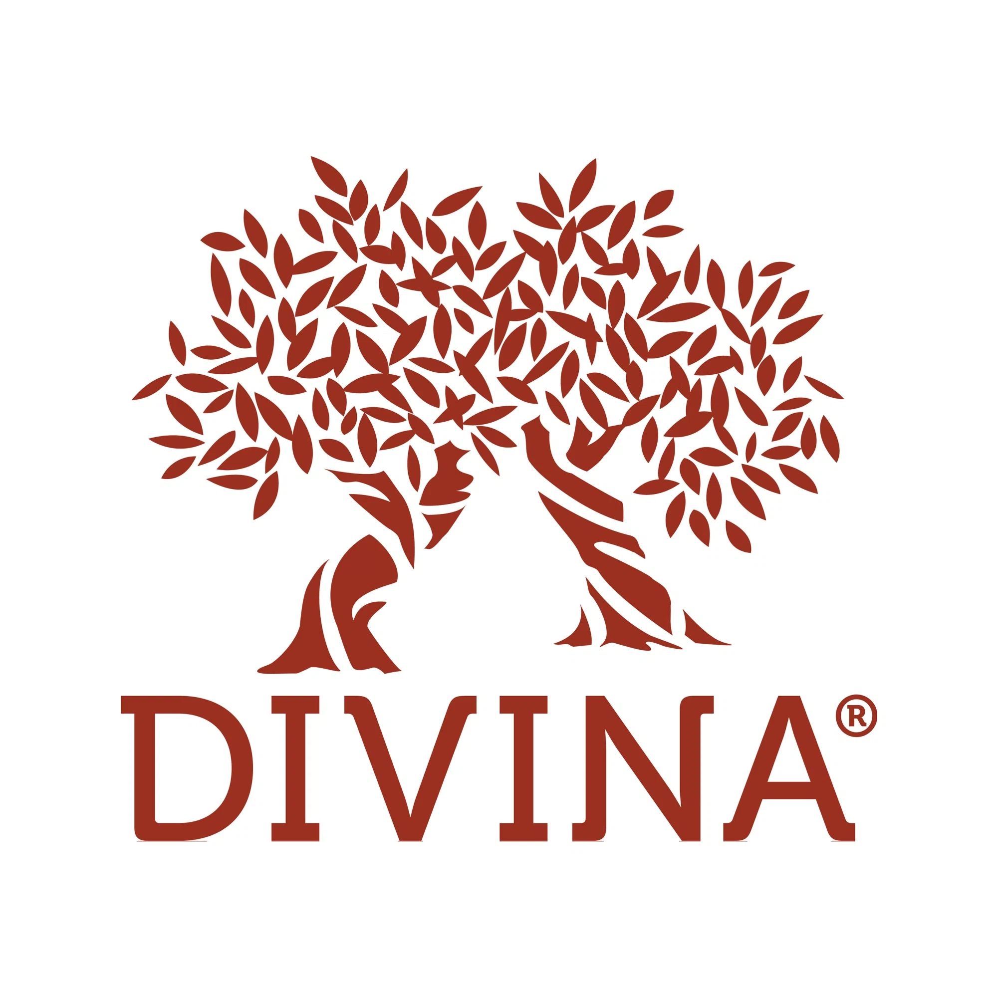 Divina Marketplace