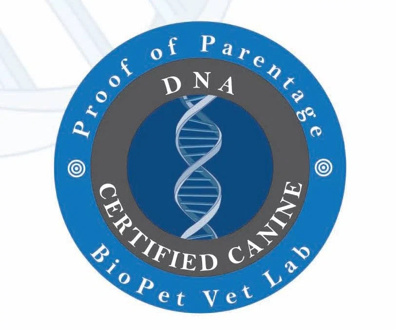 DNA Proof of Parentage