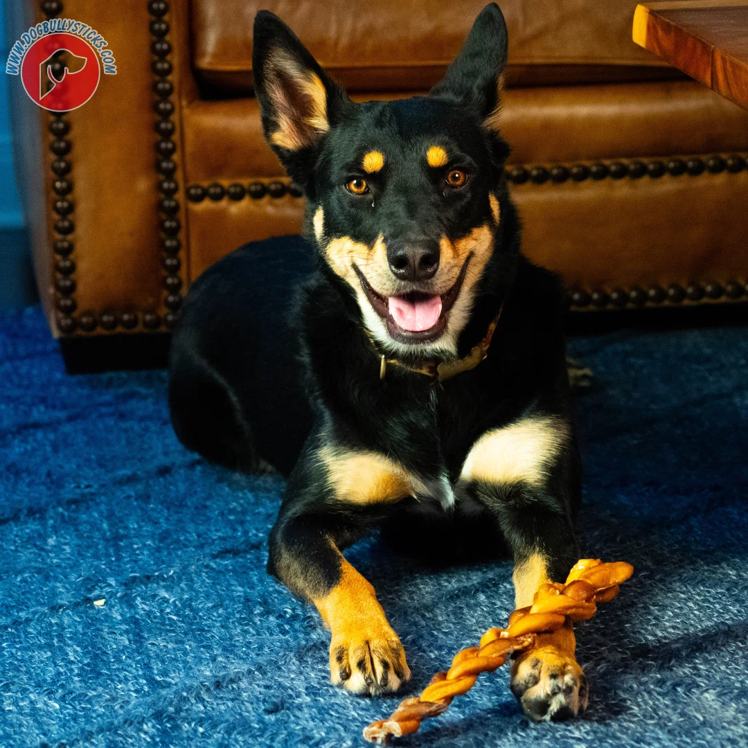 Dog Bully Sticks