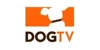 DogTV Coupons DogTV Coupons and Promo Code