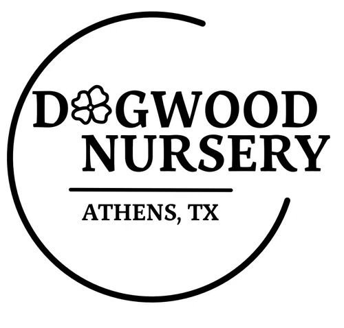 Dogwood Nursery