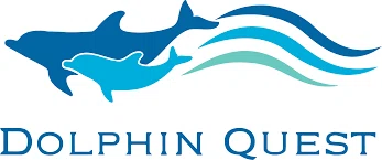 Dolphin Quest