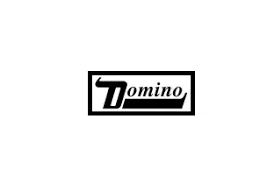 Domino Recording Company
