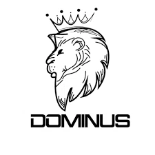 Dominus Sports