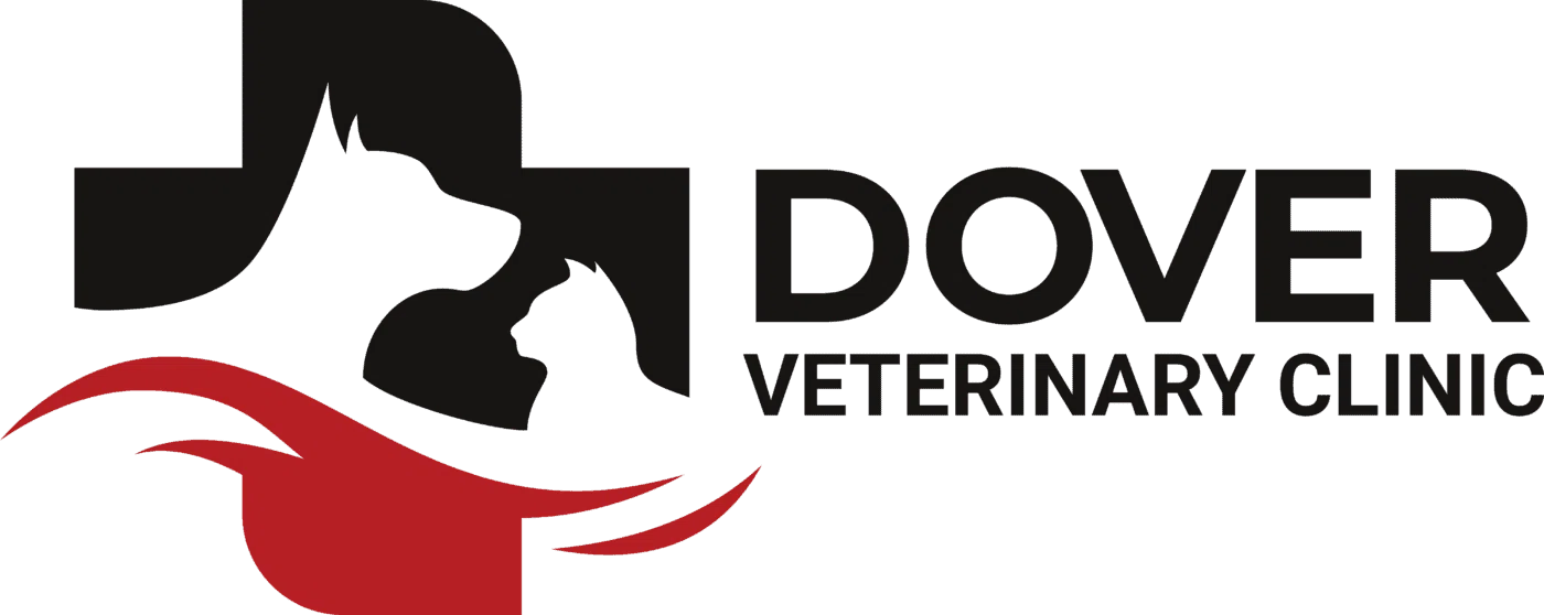 Dover Veterinary Clinic