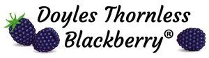 Doyle Blackberry