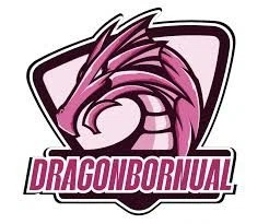 Dragon Bornual Logo for Special Discounts