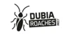 Dubia Roaches