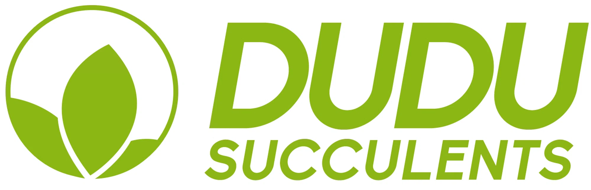 DuDu Succulents