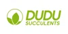 DuDu Succulents