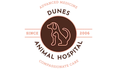 Dunes Animal Hospital
