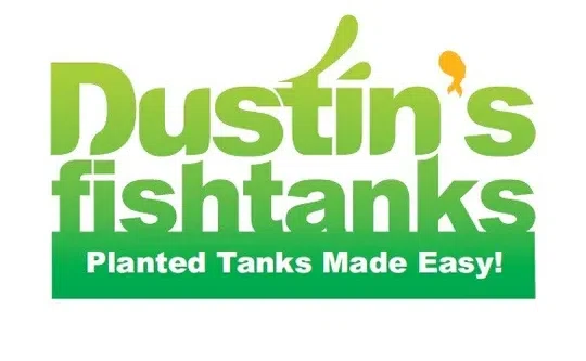 DustinsFishtanks