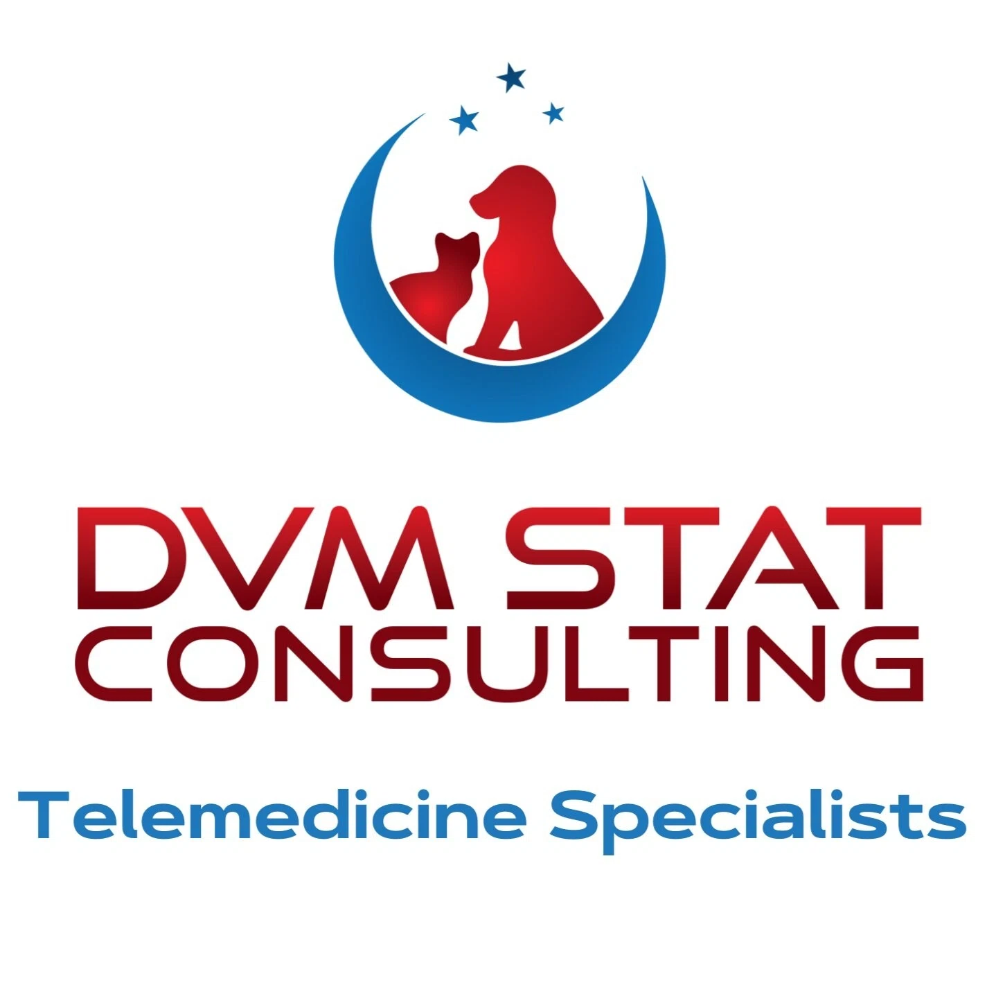 DVM STAT Consulting