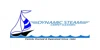 Dynamic Steam Carpet Cleaners